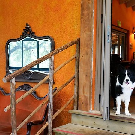 Parod Country Lodge Bagian luar foto