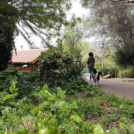 Parod Country Lodge Bagian luar foto