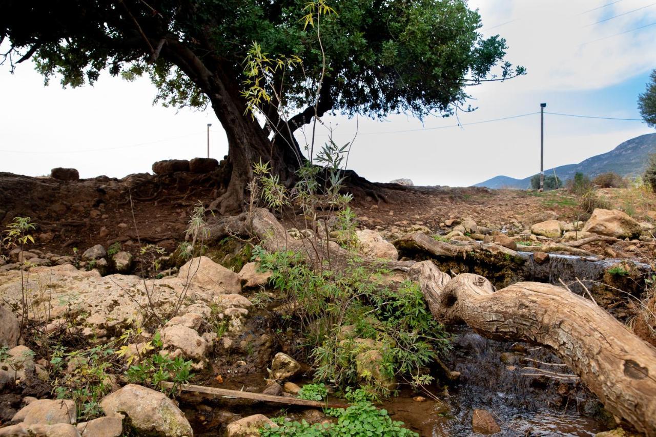 Parod Country Lodge Bagian luar foto
