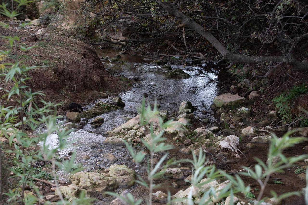 Parod Country Lodge Bagian luar foto