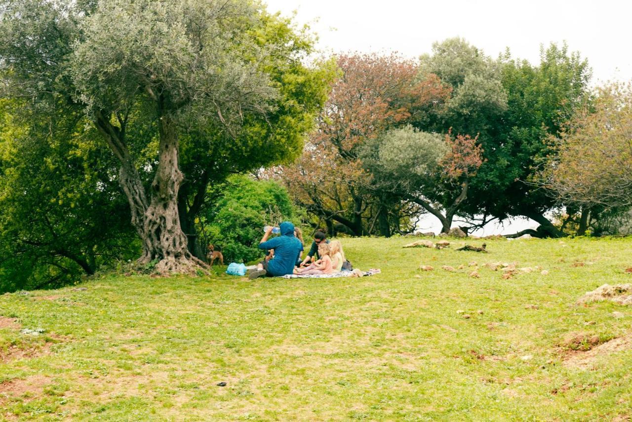 Parod Country Lodge Bagian luar foto