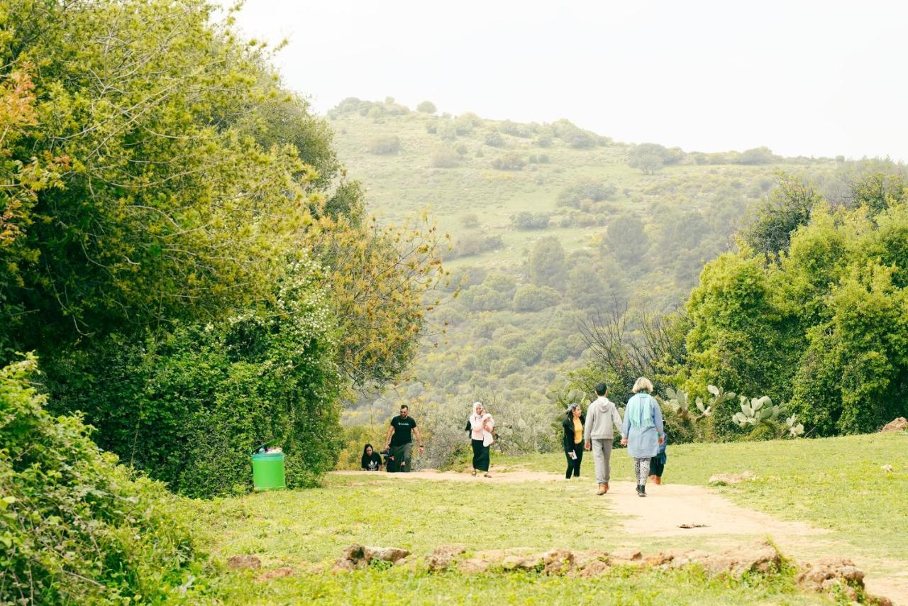 Parod Country Lodge Bagian luar foto