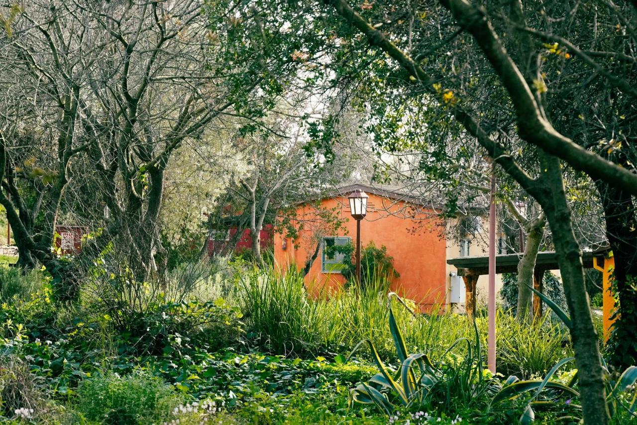 Parod Country Lodge Bagian luar foto