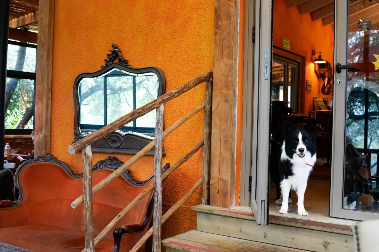 Parod Country Lodge Bagian luar foto