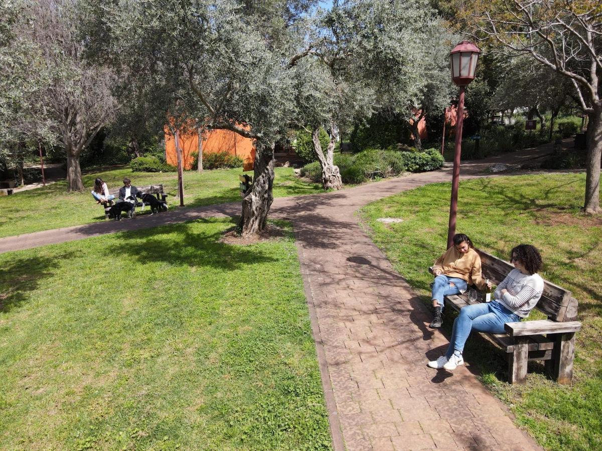 Parod Country Lodge Bagian luar foto
